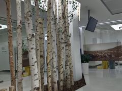 -极简口腔(总院)