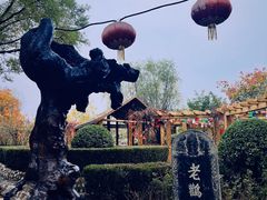 -大槐树寻根祭祖园