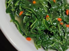 上汤枸杞叶-广东道至正餐厅(区庄店)