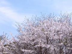 -穹窿山景区