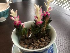 -大拙里·精致融合菜(沙湖桃源国际店)