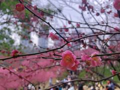 -重庆彩云湖湿地公园