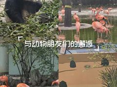 -石家庄市动物园