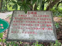 -上海佘山国家森林公园天马山园