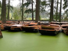 -渌洋湖湿地公园