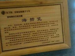 -观唐（国际）度假村温泉