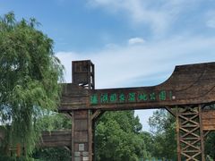 -溱湖国家湿地公园