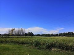 -蜀绣公园