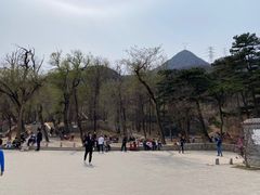 -阳台山自然风景区