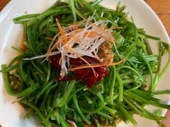 -菌自由丨野生菌火锅特色庭院餐厅(丽江古城店)