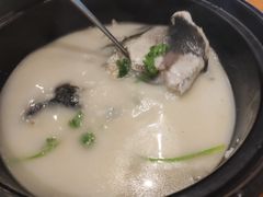 -魁鱼馆·千岛湖金陵山水啤酒温泉酒店