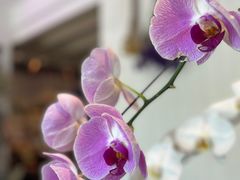 -北平花园·MUA摩造汉堡·北平咖啡(南锣鼓巷胡同店)