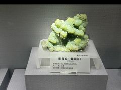 -湖南省地质博物馆