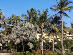 -三亚亚龙湾天域度假酒店