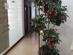 -朗阁·雅思托福·留学英语·国际学校(国贸校区)