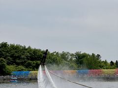 -西峡恐龙遗迹园