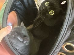 -沐沐家宠物(成寿寺店)