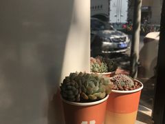 -PAUSE(恒大广场店)