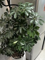 -LJOY丽锦造型·烫发染发