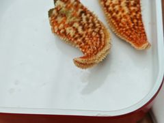-成都环球中心天堂洲际大饭店