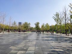-廊坊固安福朋喜来登酒店