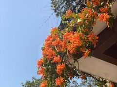 -桃花涧