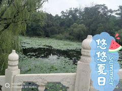 -二一九公园