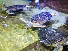 -威海华夏城景区