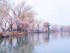 -颐和园