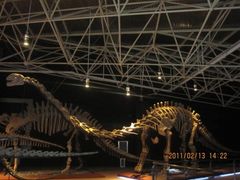 -世界恐龙谷景区