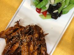 美极有膏鱿鱼-鸽王世家(东华东路店)