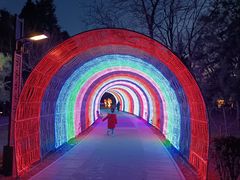 -南宫五洲植物乐园