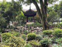 -上海醉白池公园