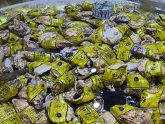 -聚盛源蒸汽海鲜火锅烤肉自助(巨川金海岸购物广场店)