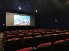 -大地影院(上海南汇店)