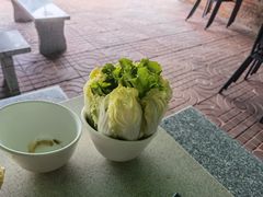 -墨脱石锅椰子鸡•香草鸭•东山羊(大东海店)