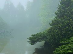 -玉苍山国家森林公园