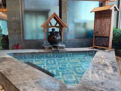 -弘安丽水温泉酒店