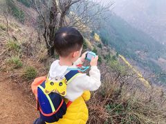 -秦岭风景区
