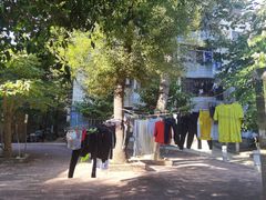 -晓港公园