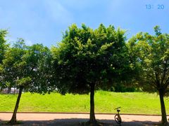 -华南理工大学(大学城校区)