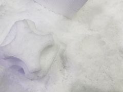 -Mr·Kuma酷么先生雪之乐园