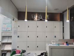 -镁连社·美联社