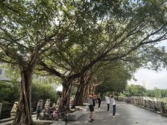 -黄埔古港