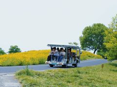 -良渚古城遗址公园