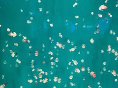 -芜湖新华联大白鲸海洋公园