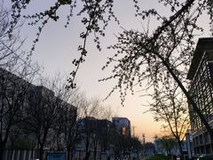 -有礼有面(知春路店)