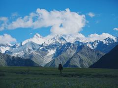 -DJI大疆(深圳华强北曼哈授权体验店)