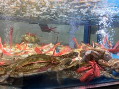 -盒马鲜生(岭南新世界店)
