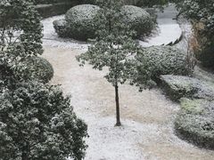 -长沙黑麋峰国家森林公园